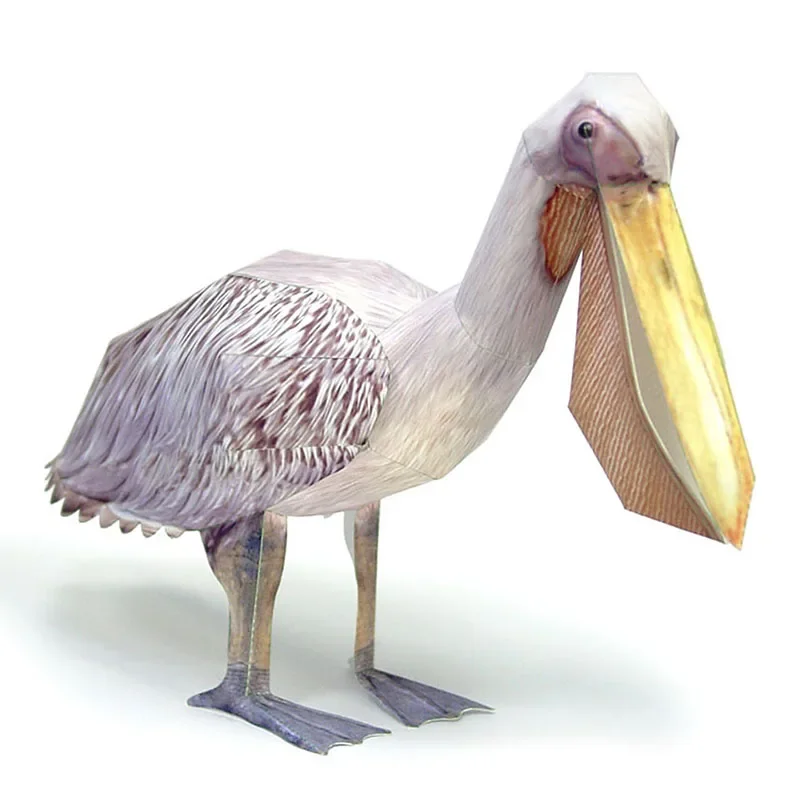 Art Craft With Cardboard - Great White Pelican Bird Paper Model