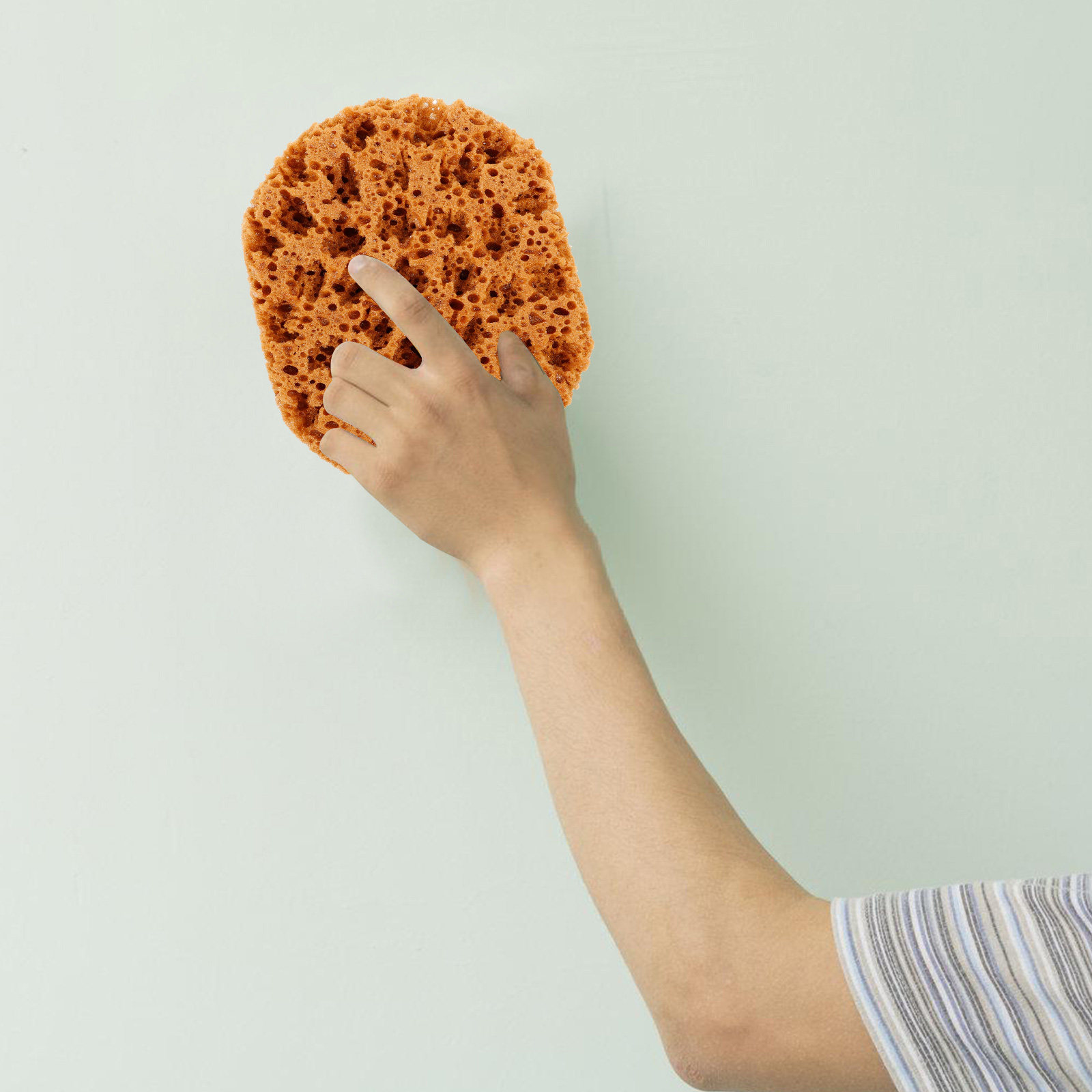 Sea Sponge Painting Tool Comfo - đánh giá và giá Art Craft Blend