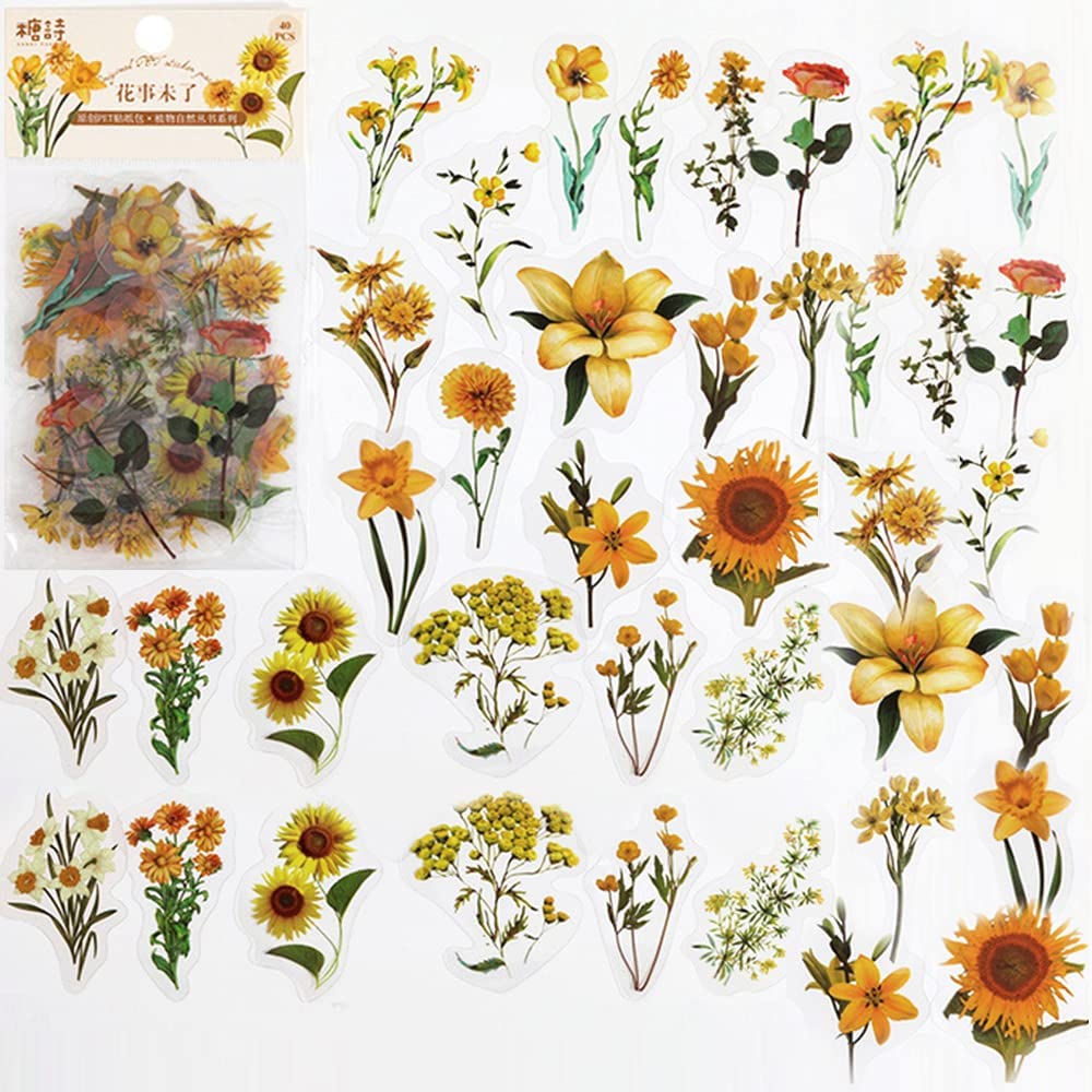 40 Pcs Scrapbook Stickers PET  - đánh giá và giá Art Craft Journal