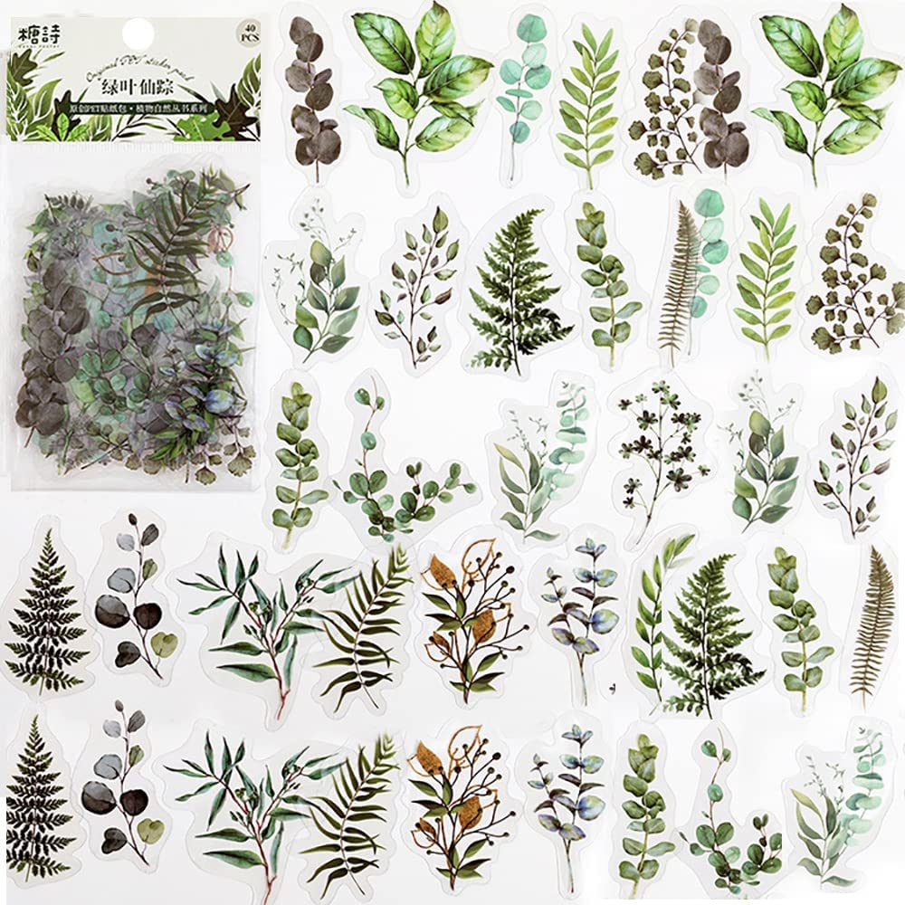 40 Pcs Scrapbook Stickers PET  - đánh giá và giá Art Craft Journal