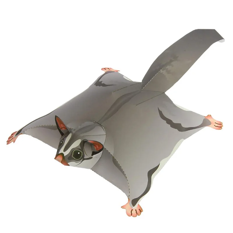 Sugar Glider Flying Mouse Hand - đánh giá và giá Art Craft With Cardboard