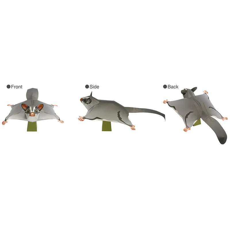Sugar Glider Flying Mouse Hand - đánh giá và giá Art Craft With Cardboard