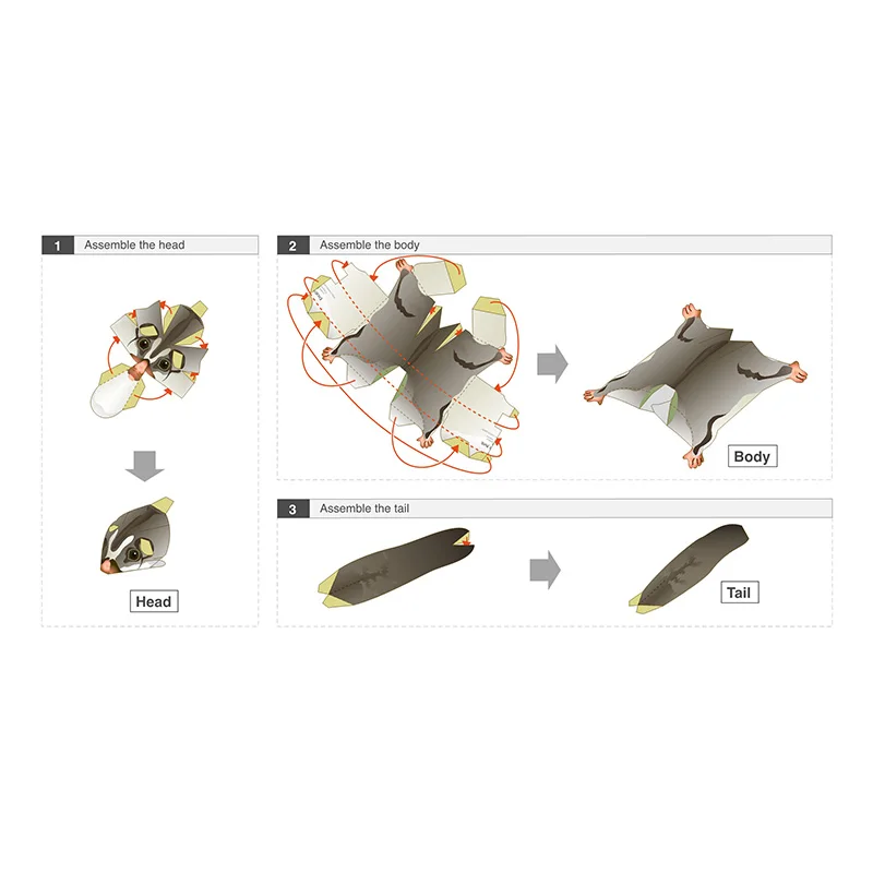 Sugar Glider Flying Mouse Hand - đánh giá và giá Art Craft With Cardboard