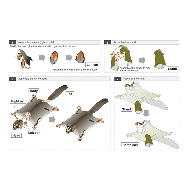 Sugar Glider Flying Mouse Hand - đánh giá và giá Art Craft With Cardboard