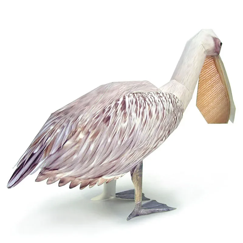 Great White Pelican Bird Paper - đánh giá và giá Art Craft With Cardboard